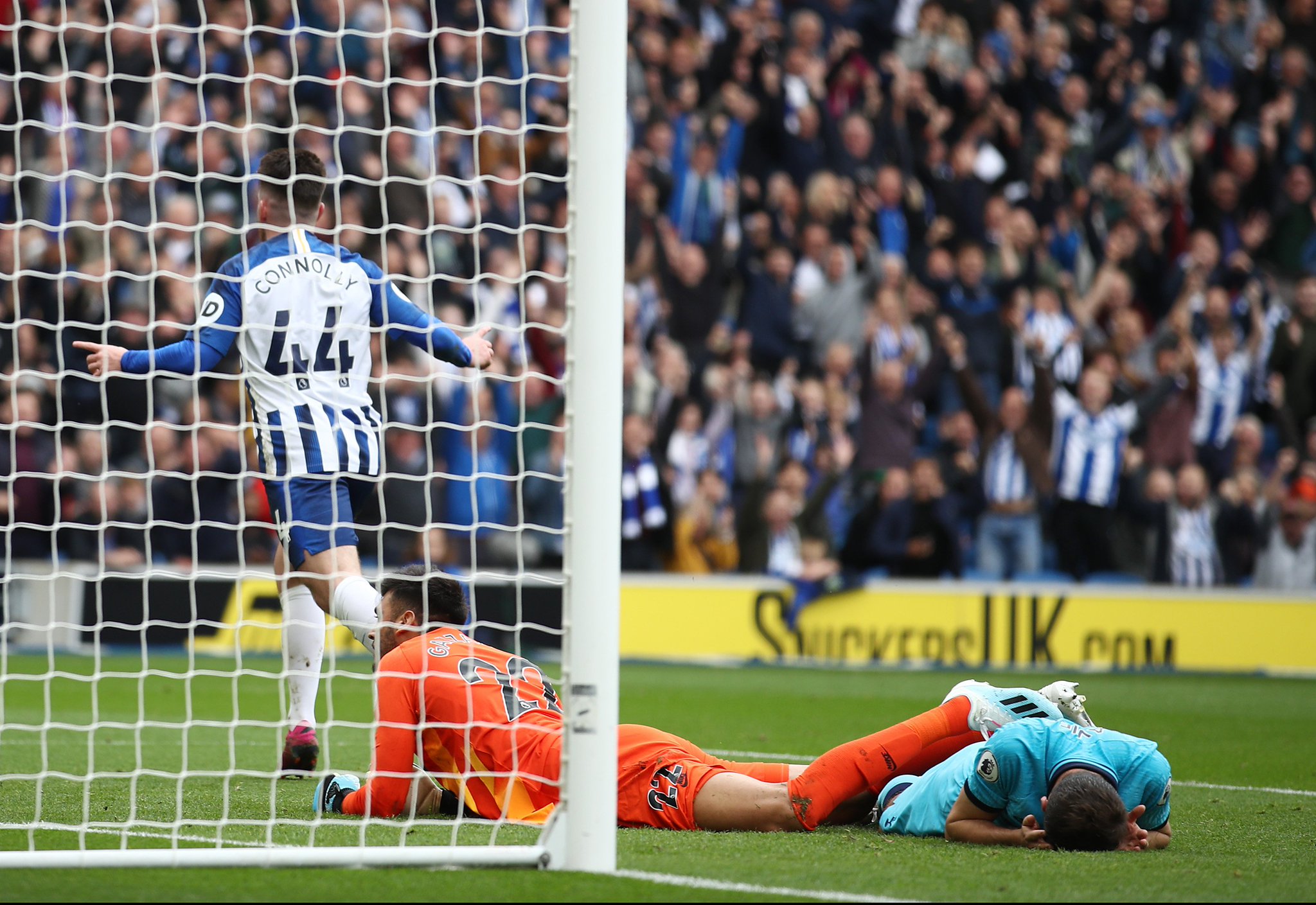 这一享誉全 这一享誉全